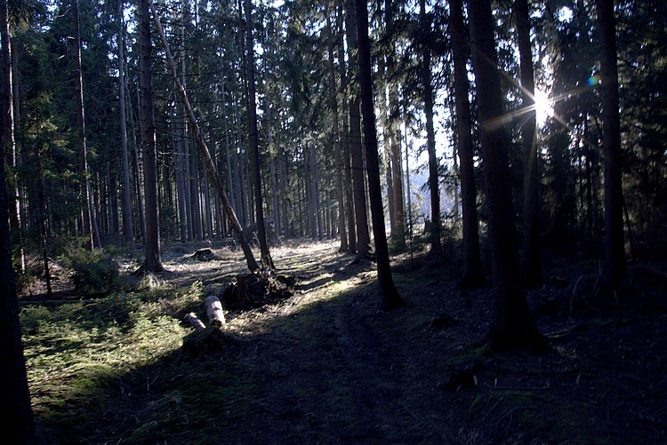 Pravěk