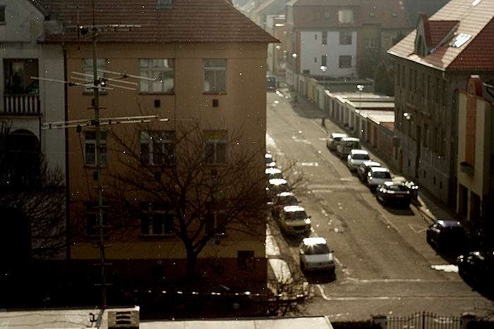 Takovej má výhled z okna, když se dívá, jak ve sluníčku padá sníh