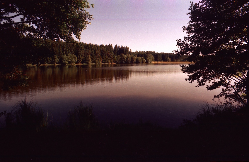 Domanín